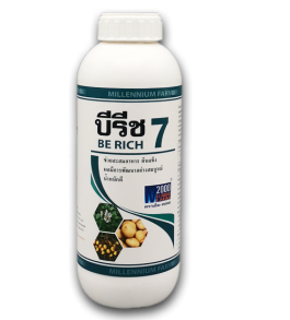 BE RICH 7